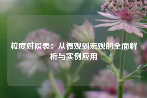 粒度对照表：从微观到宏观的全面解析与实例应用