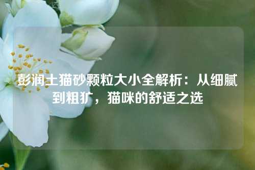 彭润土猫砂颗粒大小全解析：从细腻到粗犷，猫咪的舒适之选