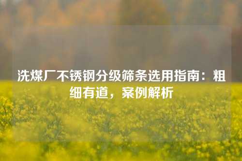 洗煤厂不锈钢分级筛条选用指南：粗细有道，案例解析