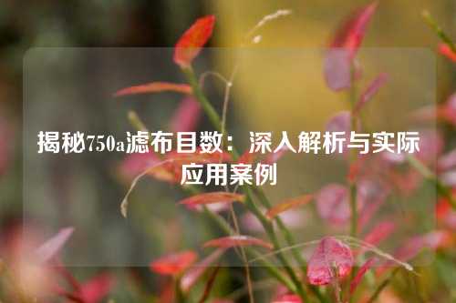 揭秘750a滤布目数：深入解析与实际应用案例