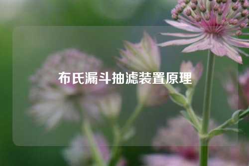 布氏漏斗抽滤装置原理