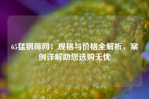 65猛钢筛网：规格与价格全解析，案例详解助您选购无忧