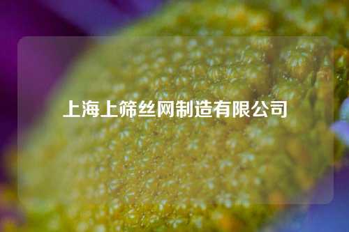 上海上筛丝网制造有限公司