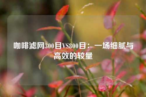咖啡滤网300目VS800目:一场细腻与高效的较量
